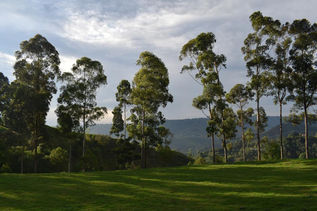 Ecofinca Salento Exterior photo